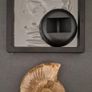 Fossilized prehistoric ammonite , With display case. Image 3