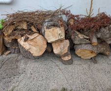 firewood