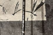 Fujikura Ventus Black Velocore+ 6s