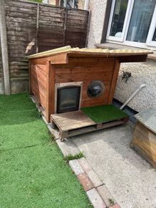 dog house