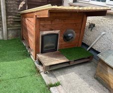 dog house