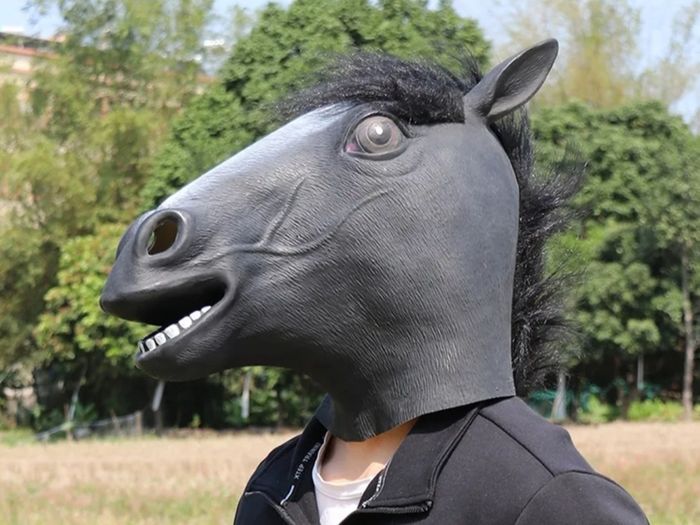 Rubber novelty Halloween black Horse mask.