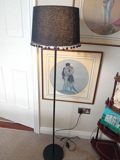 black habitat floor lamp