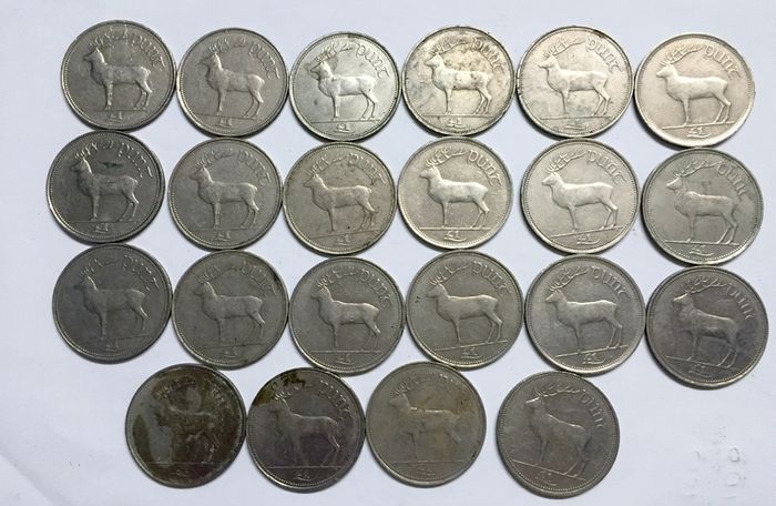 22 pound coins