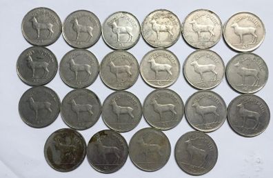 22 pound coins