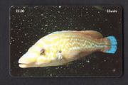 2001 Isle of Man UK3/ 33 units Marine Life Around the World - Cuckoo Wrasse - Labrus mixtus - The Breakwater, Port Erin (Siemens - S37) Phone Card