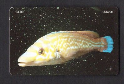 2001 Isle of Man UK3/ 33 units Marine Life Around the World - Cuckoo Wrasse - Labrus mixtus - The Breakwater, Port Erin (Siemens - S37) Phone Card