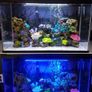 Multiple Colors Aquarium Fish Tank Light Submersible Light with Remote Controller Image 3