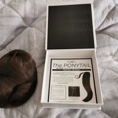 easilocks clip in ponytail