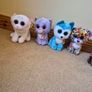 19 Original Ty Beanie Boos, All With Ty Tags And Some With Original Price On Them Image 5