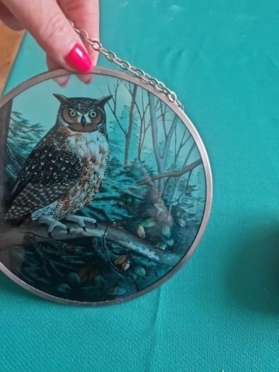 owl