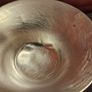 Silverette silver nursing cups Image 2