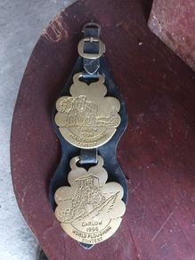 Horse brass medallions