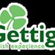 McGettigans Bar