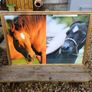 Vintage Equestrian Picture Image 2