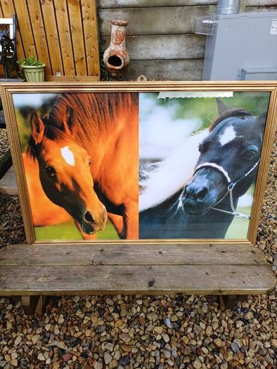 Vintage Equestrian Picture