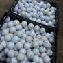 100 Top Brand Golf Balls Image 5