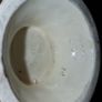 Antique  vase Image 4