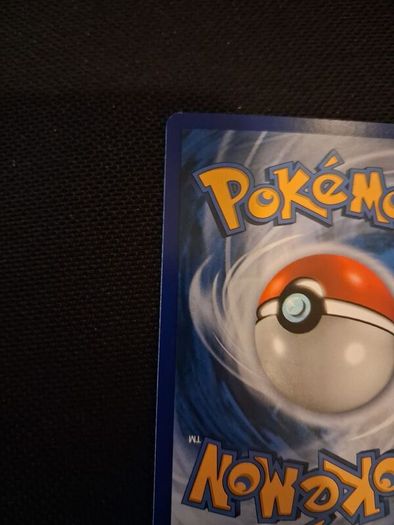Pokemon Card : Shauna 111a