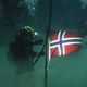 NordicDiver