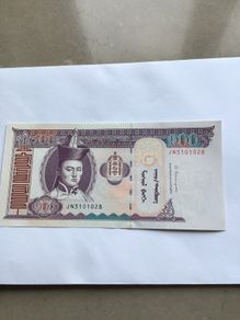 Banknote - Mongolia 100 Tugrik