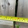timber gates Image 6