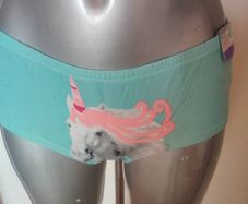 BNWT Secret Possessions Unicorn hipsters size UK18 EU46 Postage included