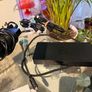 Laptop Docking Station WD19TBS Image 2