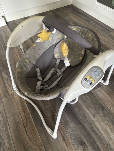 Newborn Swing