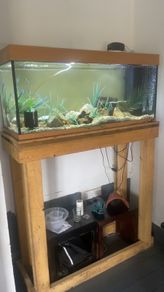 Fish tank