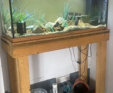 Fish tank