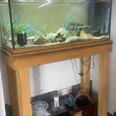 Fish tank