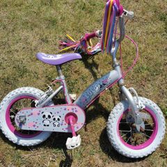 kids starter bike