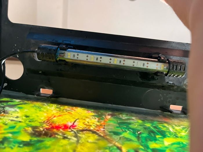 Fish tank