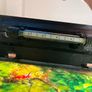 Fish tank Image 10