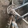 bike Image 2