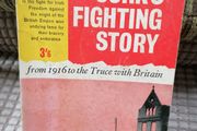 REBEL  Cork's Fighting Story