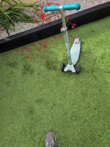 Micro Scooter Maxi