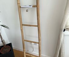 Storage Ladder