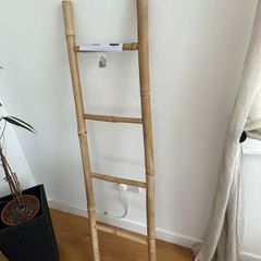 Storage Ladder