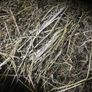Silage bales and small square hay bales Image 2
