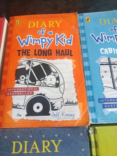 Diary of a wimpy kid