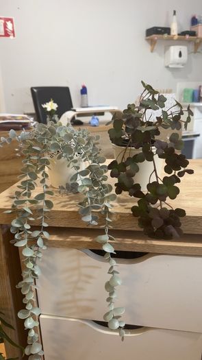 Collection of fake plants and pots