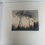 art Image 2