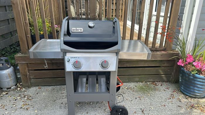 Weber Bbq