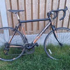 Large road bike ( serviced ) ( delivery )