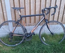 Large road bike ( serviced ) ( delivery )
