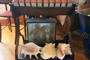 Large Victorian Library Book Trough