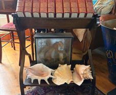 Large Victorian Library Book Trough