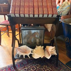 Large Victorian Library Book Trough